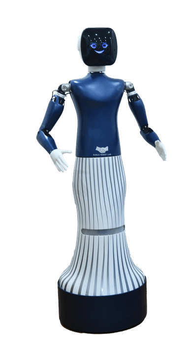 A humanoid robot