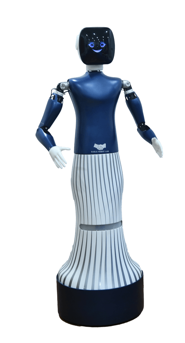 humanoid Robot